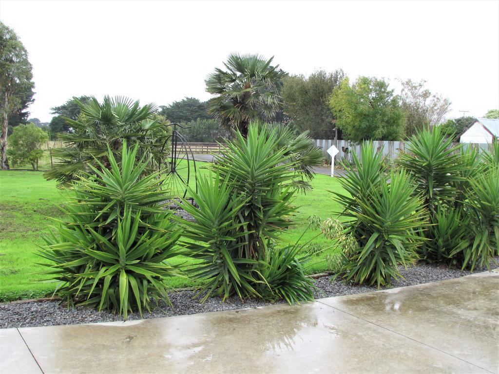 Cruz Inn Featherston Luaran gambar